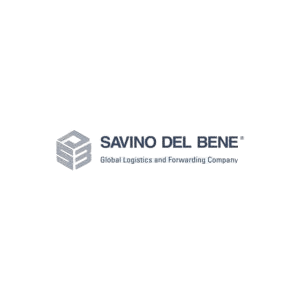 Logo cliente VersionAI 2