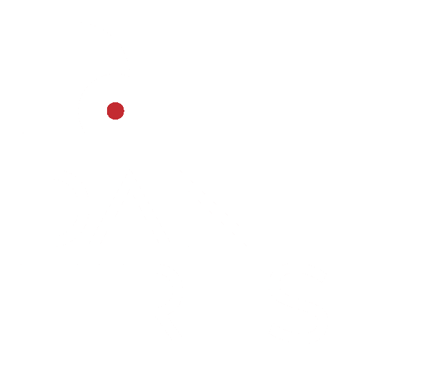 Dante Tires